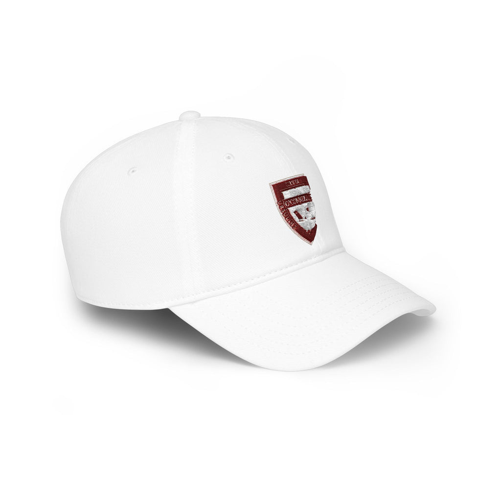Embroidered Shield Logo Baseball Cap — Low Profile, Classic Team Hat